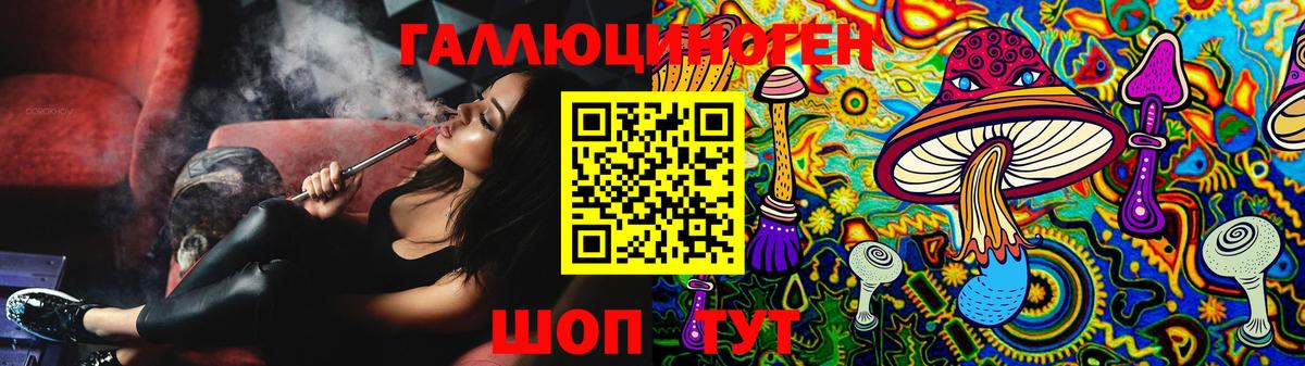 где купить   Псилоцибиновые грибы Magic Shrooms  Вход с VPN  Семёнов  Псилоцибиновые грибы GOLDEN TEACHER 
